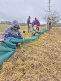 Krötenrettung in Sondheim / Grabfeld