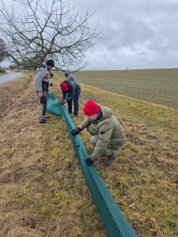 Krötenrettung in Sondheim / Grabfeld