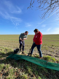 Krötenrettung in Sondheim / Grabfeld