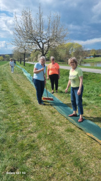Krötenrettung in Sondheim / Grabfeld